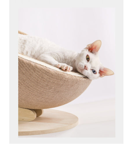 Cat Scratching Post with Scratch Ball & Scratch Pad