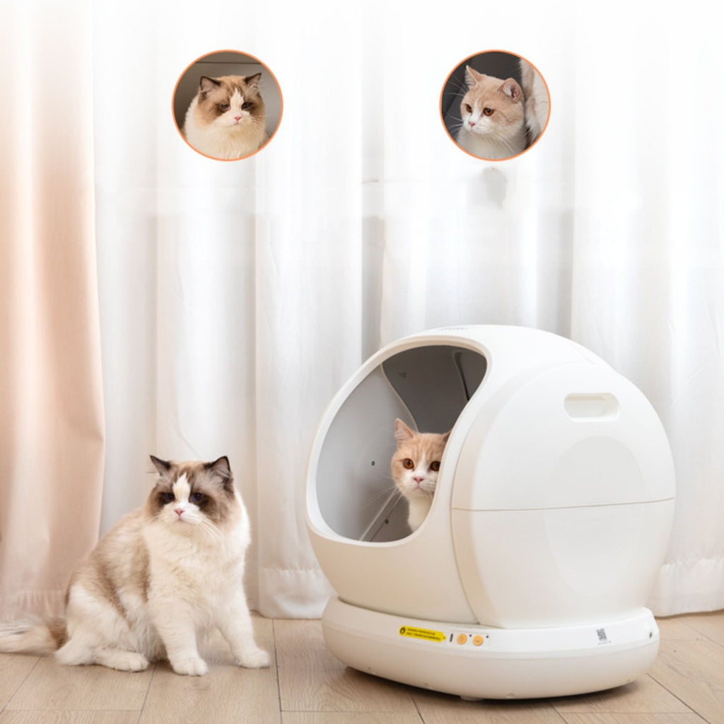 Vollautomatische Katzentoilette Übergröße