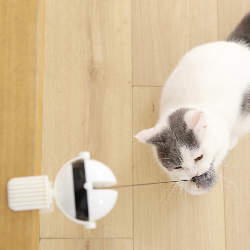 Electric Automatic Lifting Cat Ball Toy | Interactive Self-Play Cat Toy