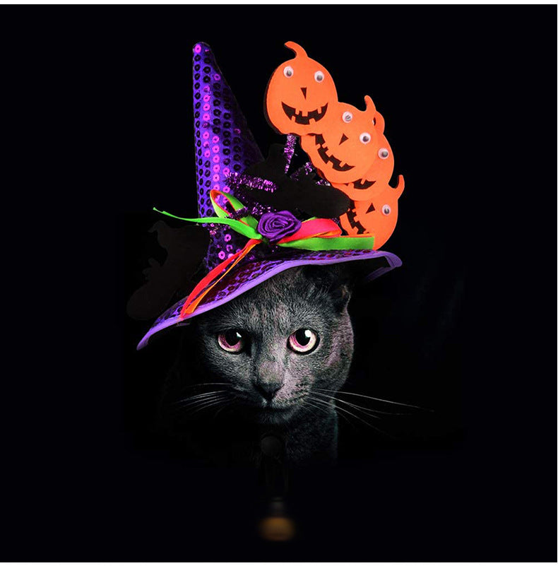 Chiens Chats Halloween Chapeaux Couvre-chef Citrouille