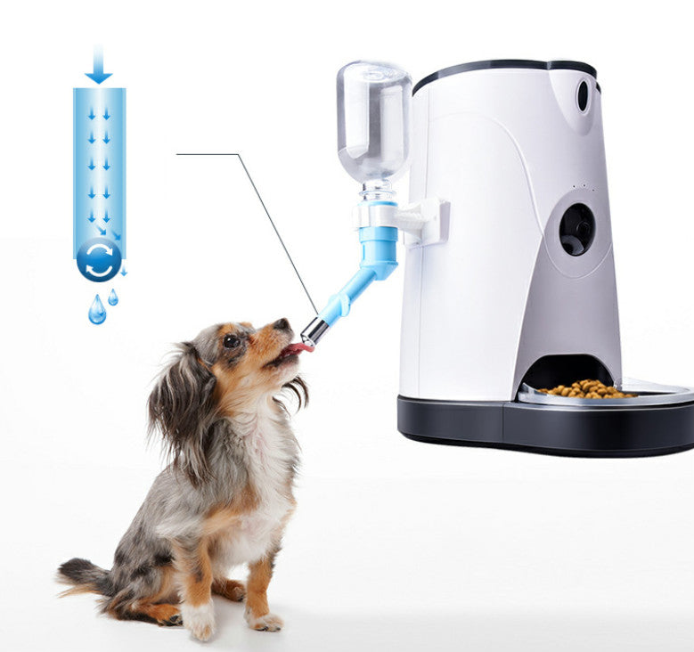 Solayne Pet automatic feeder