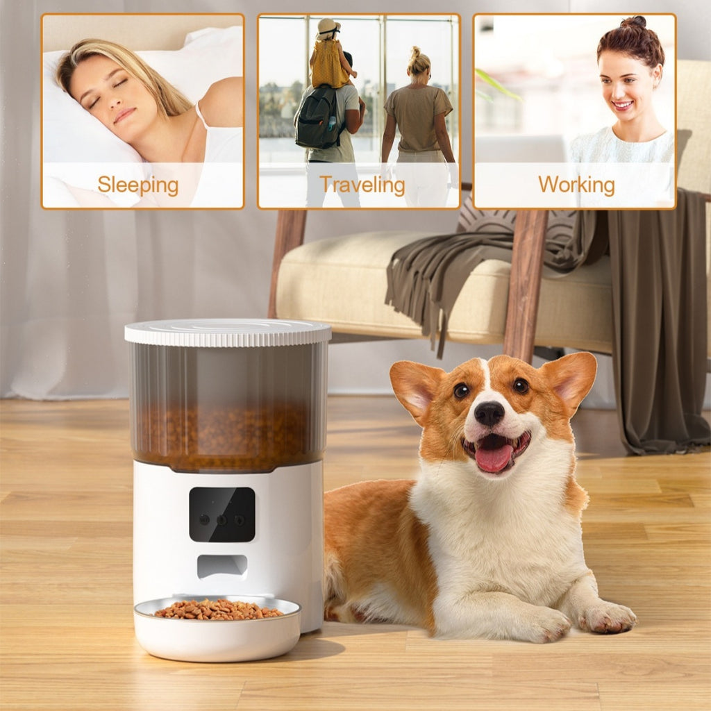Cat Smart Dog Automatischer Futterspender