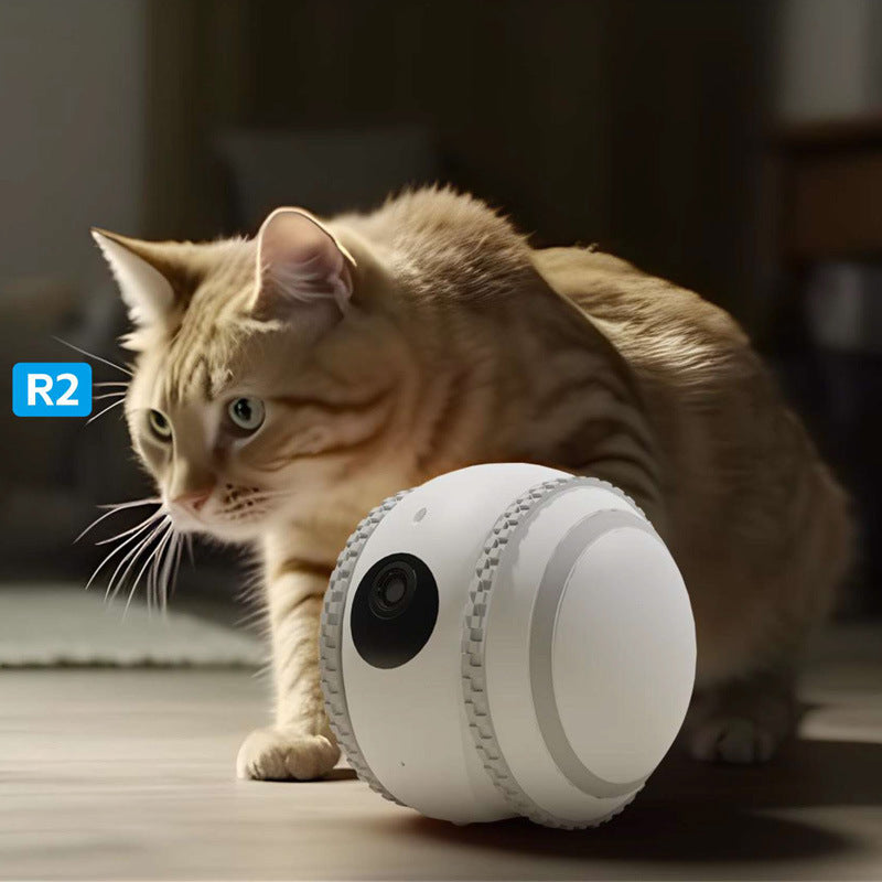 Überwachung durch Begleitroboterkatze für Haustiere