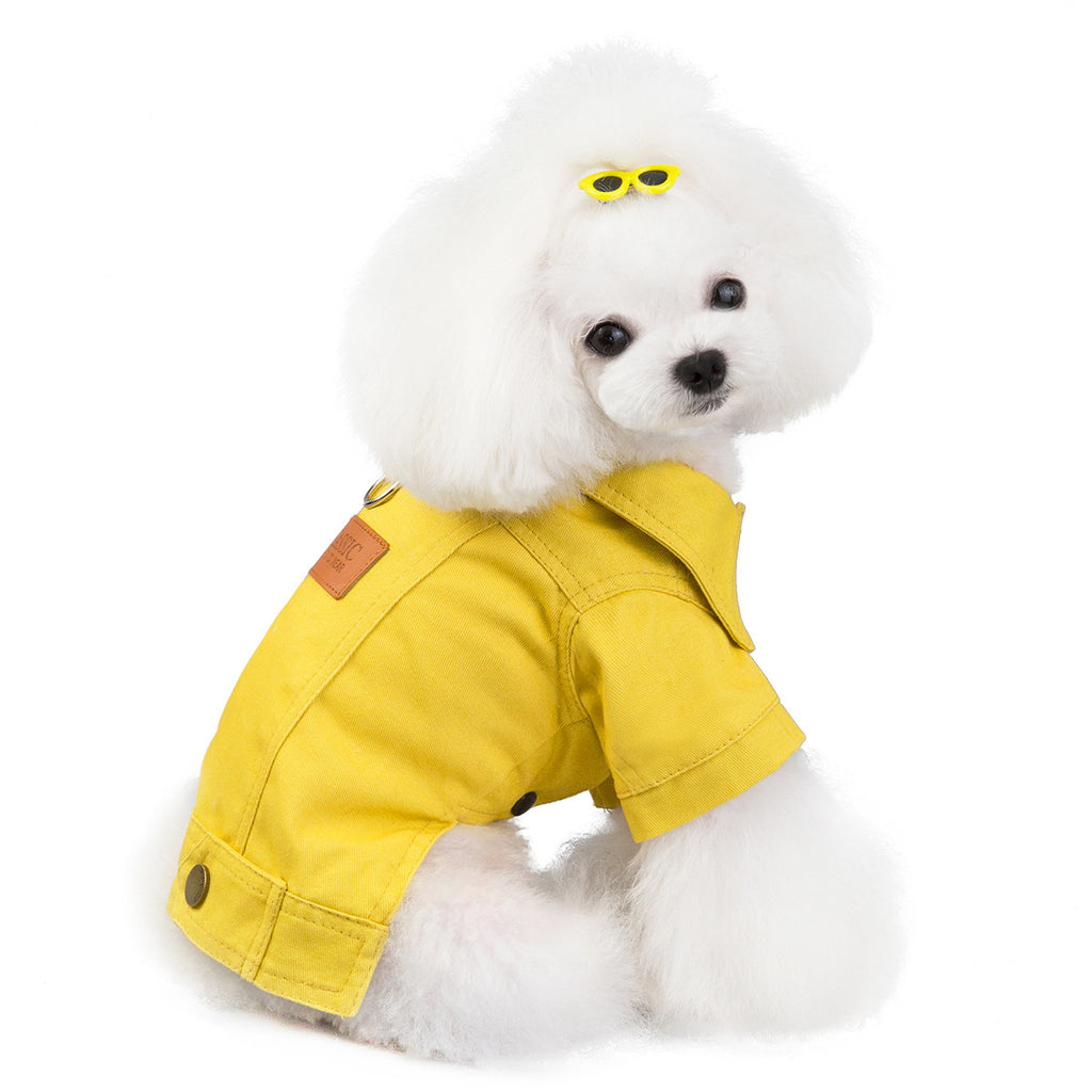 Pet kittens, dogs, clothes