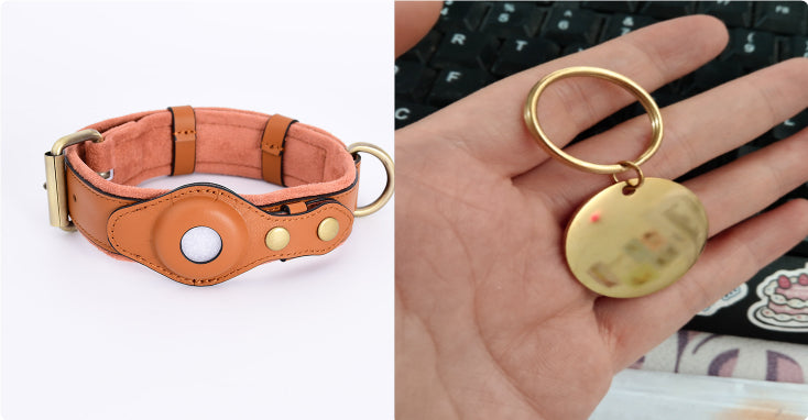 GPS-Tracker Schutzhülle für Haustiere Hund Anti-Verlorenes Halsband