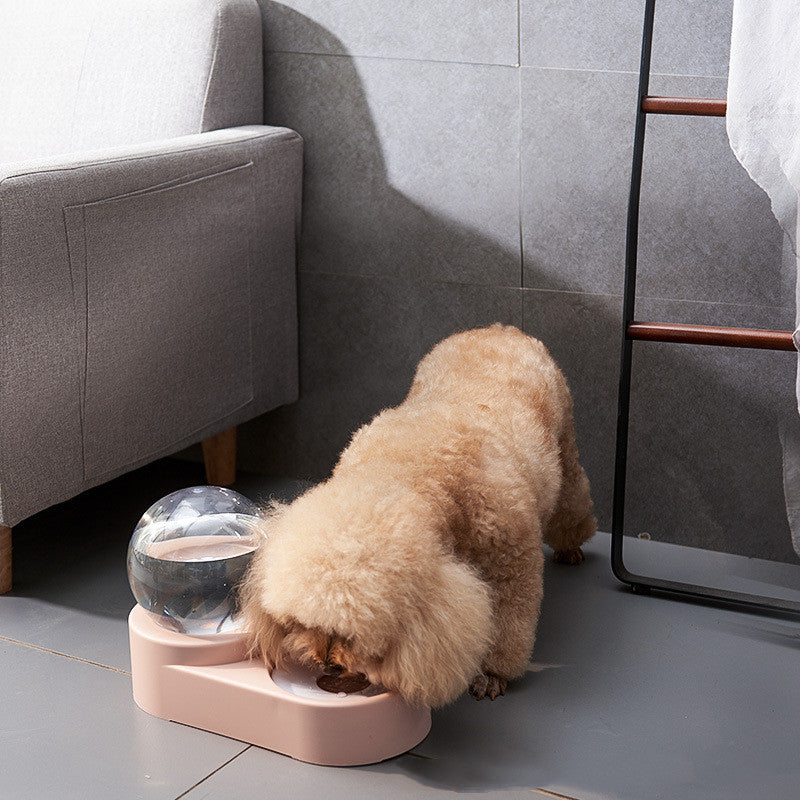 Automatischer Katzen-Hunde-Wasserspender mit Schale, ohne Strom