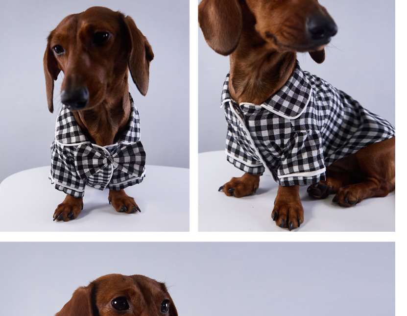 British Style Pajamas For Dogs And Cats