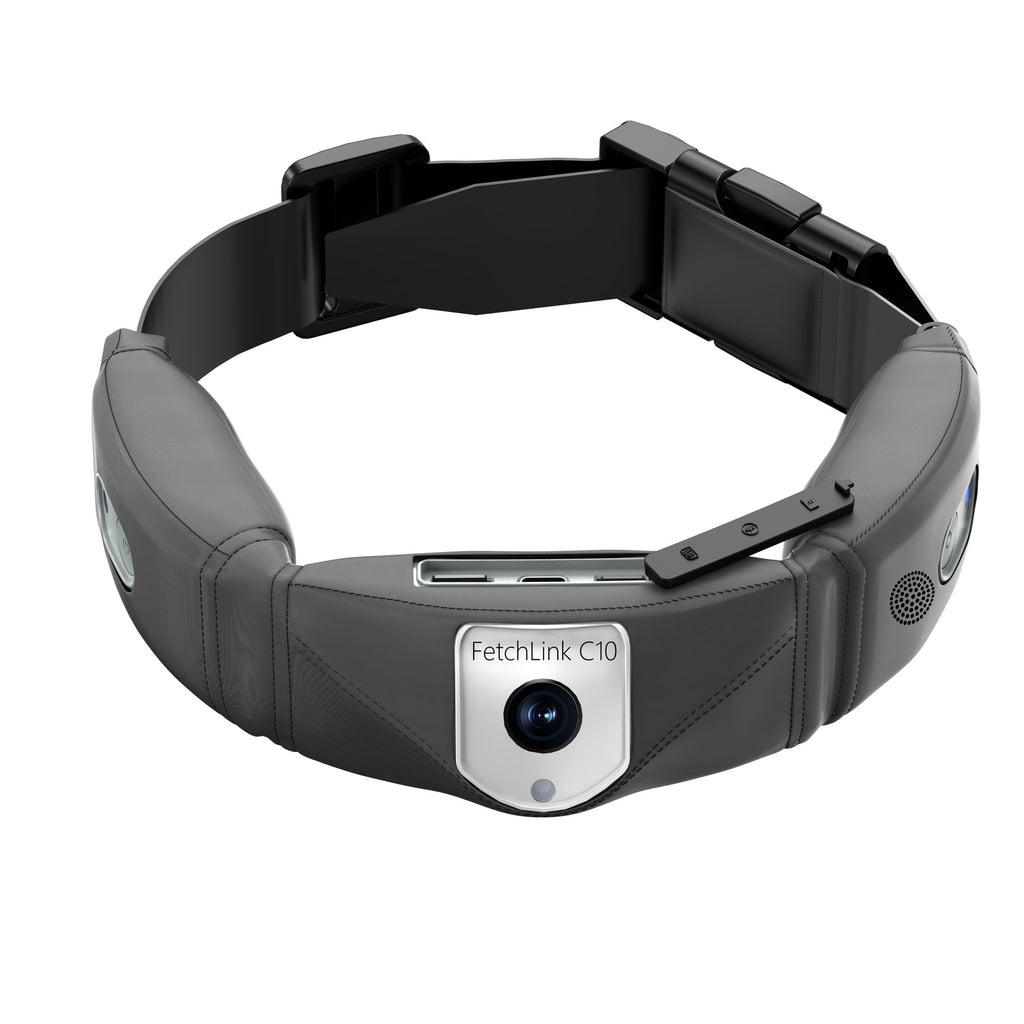 C10 Collier Intelligent pour Animaux de Compagnie : Suivi de Santé et Fonctions Multiples