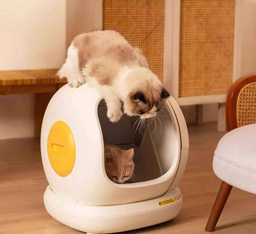 Vollautomatische Katzentoilette Übergröße