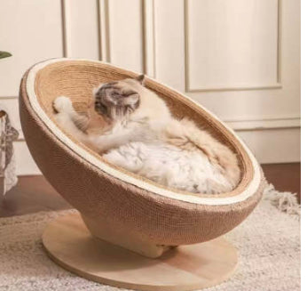 Cat Scratching Post with Scratch Ball & Scratch Pad