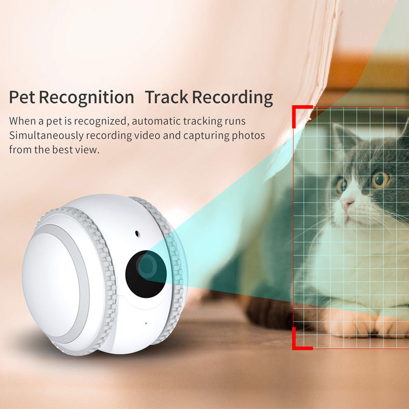 Überwachung durch Begleitroboterkatze für Haustiere
