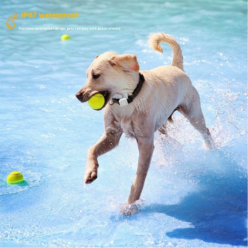 GPS-Tracker für Haustiere mit Gesundheitsüberwachung