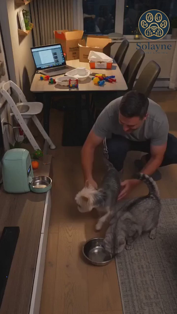 Katzen-Futterautomat Intelligent Hund Zeitgesteuerte Futterration Katzenfutter