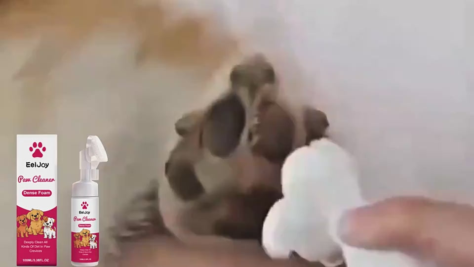 557219220864.mp4
